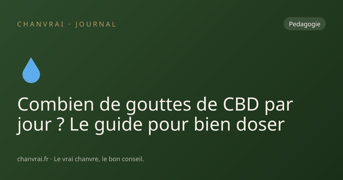 Combien de gouttes de CBD par jour ? Le guide pour bien doser