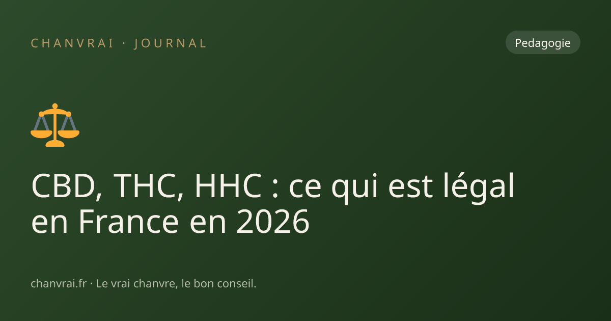 CBD, THC, HHC : ce qui est légal en France en 2026
